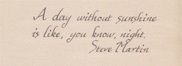 steve martin
